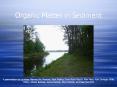 Organic Matter in Sediment PowerPoint PPT Presentation