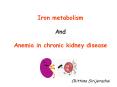 Iron metabolism PowerPoint PPT Presentation