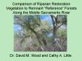 Comparison of Riparian Restoration Vegetation to Remnant Reference Forests Along the Middle Sacramen PowerPoint PPT Presentation