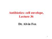 Dr. Alvin Fox