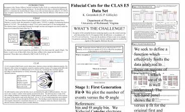 Fiducial Cuts for the CLAS E5 Data Set
