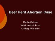 Beef Herd Abortion Case
