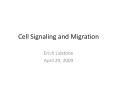 Cell Signaling and Migration PowerPoint PPT Presentation