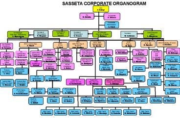 SASSETA CORPORATE ORGANOGRAM