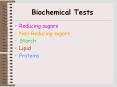 Biochemical Tests PowerPoint PPT Presentation
