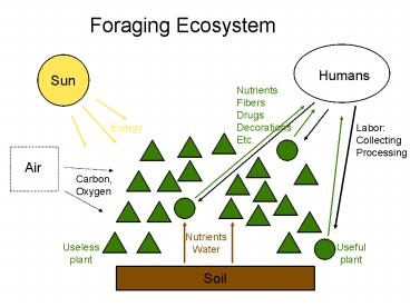 PPT – Soil PowerPoint presentation | free to download - id: 12a340-OWYwO