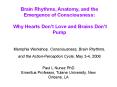 Brain Rhythms, Anatomy, and the Emergence of Consciousness:  Why Hearts Don PowerPoint PPT Presentation