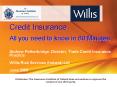 Credit Insurance All you need to know in 60 Minutes Andrew Petherbridge, Director, Trade Credit Insu PowerPoint PPT Presentation