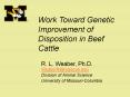 Work Toward Genetic Improvement of Disposition in Beef Cattle PowerPoint PPT Presentation