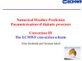 Numerical Weather Prediction Parameterization of diabatic processes Convection III The ECMWF convect PowerPoint PPT Presentation