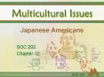 Japanese Americans PowerPoint PPT Presentation