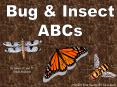 Insects PowerPoint PPT Presentation