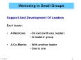 Mentoring In Small Groups PowerPoint PPT Presentation
