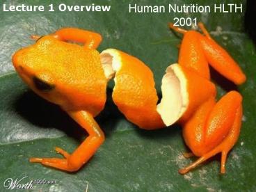 11595 Human Nutrition