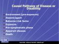 Causal Pathway of Disease or Disability PowerPoint PPT Presentation