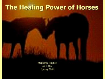 Psychotherapy Through Horses