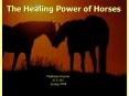Psychotherapy Through Horses PowerPoint PPT Presentation