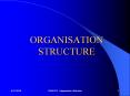 ORGANISATION STRUCTURE PowerPoint PPT Presentation