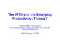 The WTO and the Emerging Protectionist Threats? PowerPoint PPT Presentation