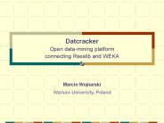 Datcracker Open datamining platform connecting Rseslib and WEKA