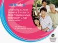 Developing Cultural Sensitive Practice in Child Protection when working with CALD communities PowerPoint PPT Presentation
