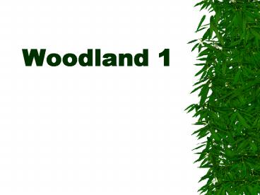 Woodland 1