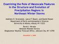 Examining the Role of Mesoscale Features in the Structure and Evolution of Precipitation Regions in PowerPoint PPT Presentation