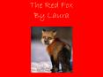 The Red Fox By Laura PowerPoint PPT Presentation