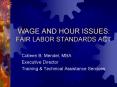 WAGE AND HOUR ISSUES: FAIR LABOR STANDARDS ACT PowerPoint PPT Presentation