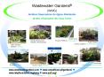 Wastewater Gardens WWG Jardines Depuradores de Aguas Residuales Jardins dEpuration des Eaux Uses PowerPoint PPT Presentation