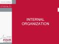 INTERNAL ORGANIZATION PowerPoint PPT Presentation