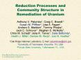 Reduction Processes and Community Structure in Remediation of Uranium PowerPoint PPT Presentation