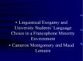 Linguistical Exogamy and University Students PowerPoint PPT Presentation
