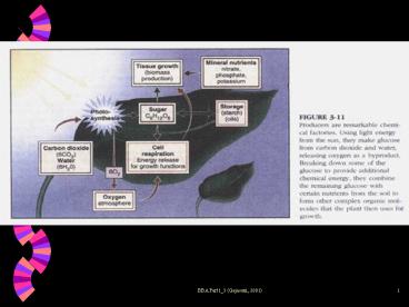 2' Consumer Organics Organics Living Living