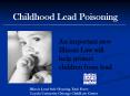 Childhood Lead Poisoning PowerPoint PPT Presentation