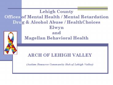 Lehigh County Offices of Mental Health Mental Retardation Drug