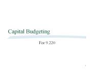 Capital Budgeting