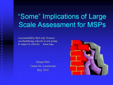 Some Implications of Large Scale Assessment for MSPs