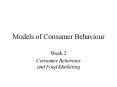 Models of Consumer Behaviour PowerPoint PPT Presentation