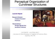 Perceptual Organization of Curvilinear Structures