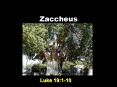 Zaccheus PowerPoint PPT Presentation