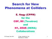 Search for New Phenomena at Colliders