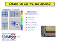 CALICE-UK and the ILD detector PowerPoint PPT Presentation