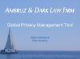 Global Privacy Management Tool PowerPoint PPT Presentation
