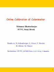 Online Calibration of Calorimeter