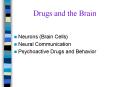 Drugs and the Brain PowerPoint PPT Presentation