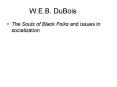 W'E'B' DuBois PowerPoint PPT Presentation