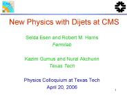 New Physics with Dijets at CMS