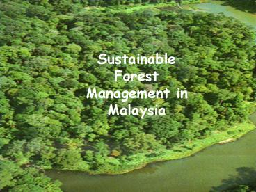 Once Timber Exporters''Now Importers