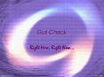 Gut Check PowerPoint PPT Presentation